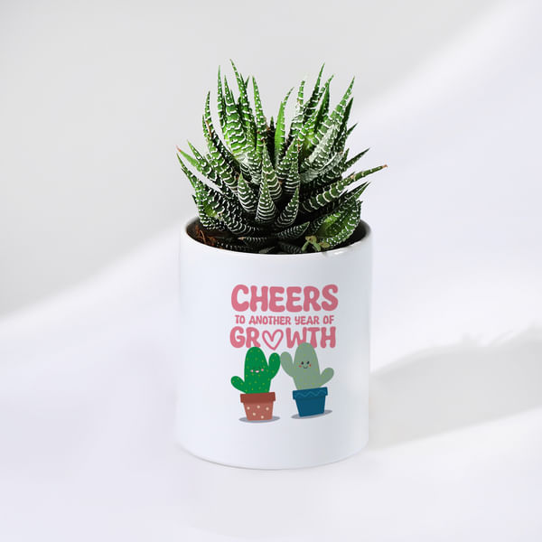 Cheers To The New Year - Haworthia Plant With Pot