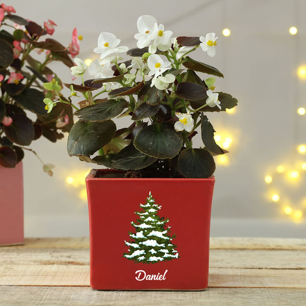 Christmas Themed Personalized Red Planter Pot