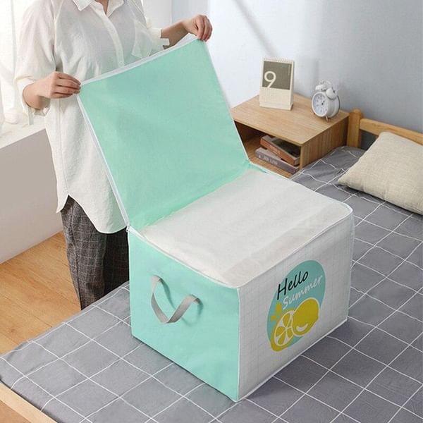 Cloth Storage Organizer - Single Piece