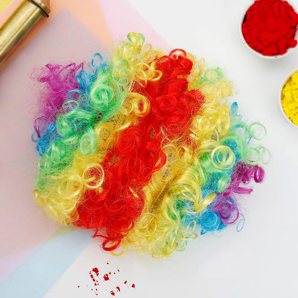 Colourful Hair Wig for holi