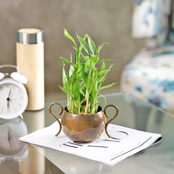 Copper Finish Metal Planter With Handle