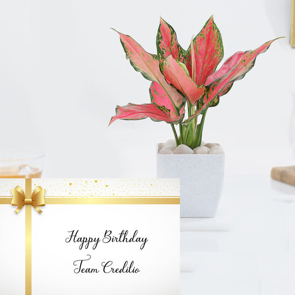 CREDILIO FINANCIAL TECHNOLOGIES - Hamper