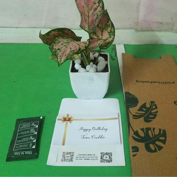 CREDILIO FINANCIAL TECHNOLOGIES - Hamper