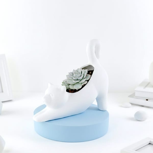 Cute Ceramic Cat Planter With Blue Bird Succulent