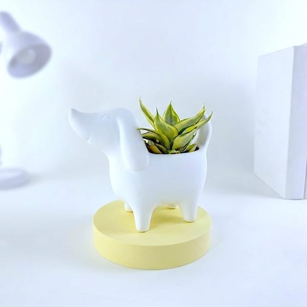 Cute Ceramic Dog Planter With Dwarf Snake Plant