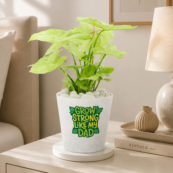 Dad's Lively Syngonium with Self-Watering Planter
