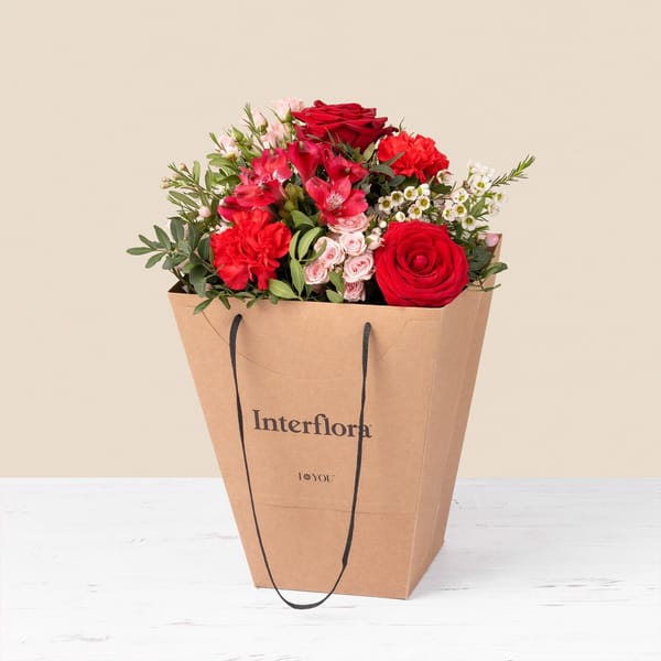 Declaration and free gift bag