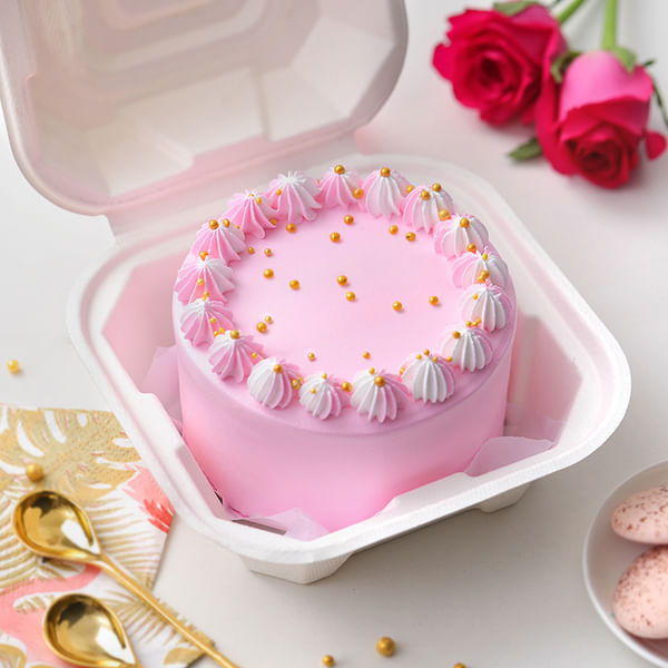 Delicious Vanilla Bento Cake (200Gm)