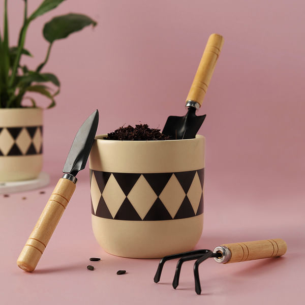 Diamond Print Ceramic Planter with Gardening Tools
