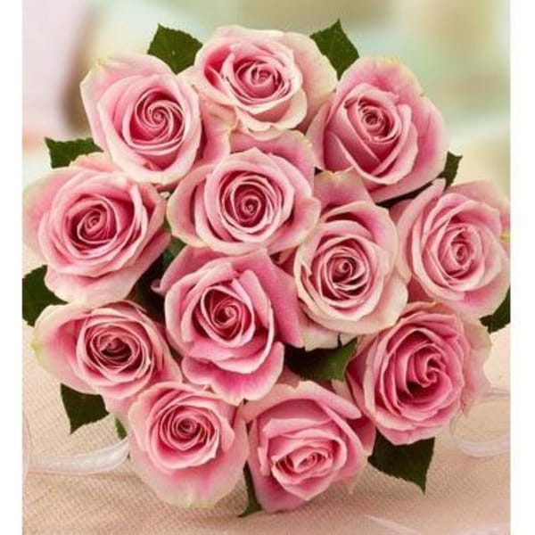 Dozen Pink Roses Bouquet