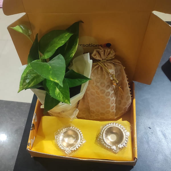 Dry Fruits In Potlis And Diyas With Money Plant