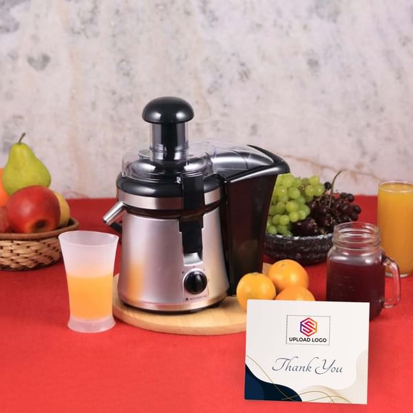 Dual Speed Fruit Juicer