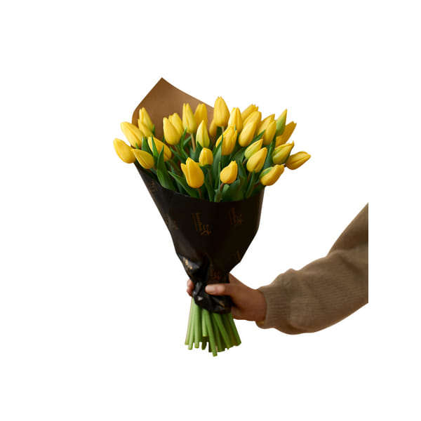 Easter Tulips 240131