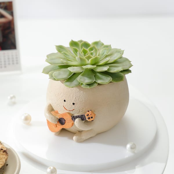 Echeveria Spica Succulent with Guitar Buddy Pot