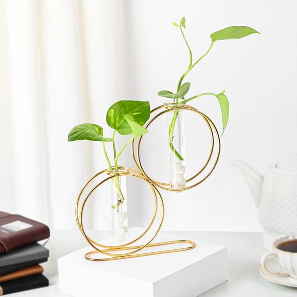 Elegant Money Plant With Gold Metal Stand