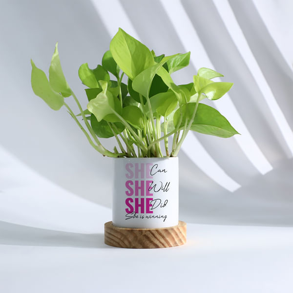 Empowering Women's Day Planter And Money Plant