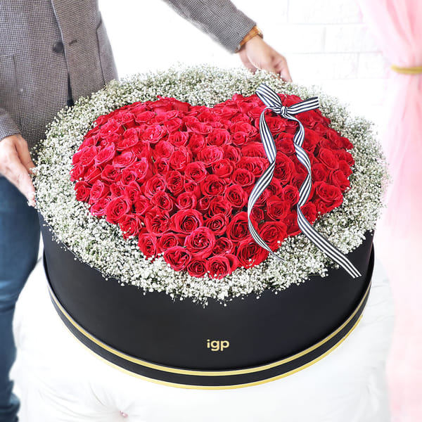 Everything I Adore - 200 Red Rose Luxury Arrangement