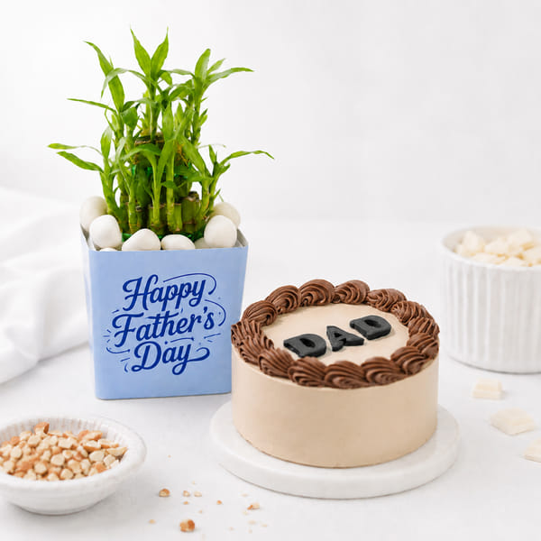 Father's Day Bamboo Plant & Chocolate Cake Combo
