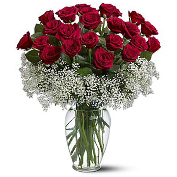 FIELD OF ROSES 24 RED ROSES IN A VASE