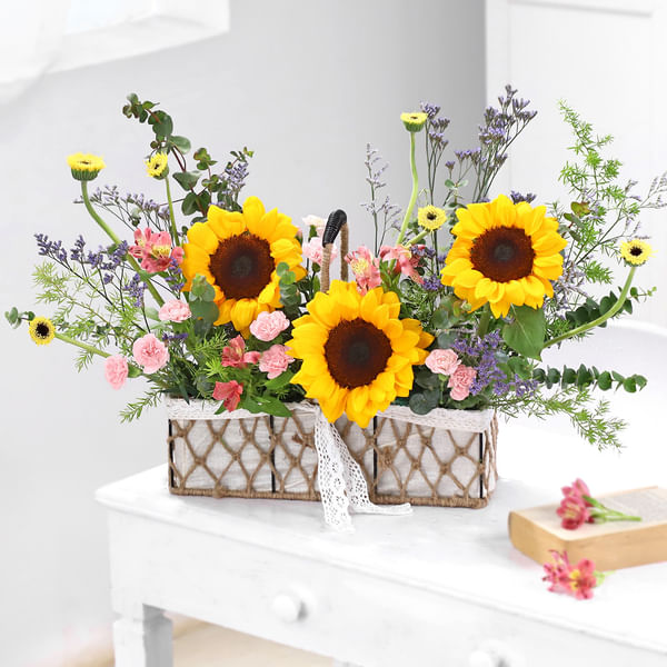 Fields of Sunshine
