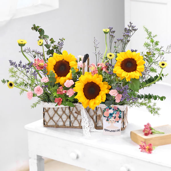 Fields of Sunshine