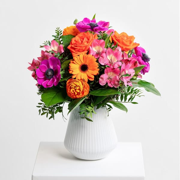 First Rays of Sunshine