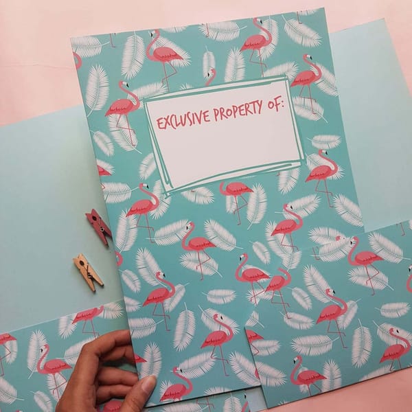 Folder - Flamingo - Single Piece