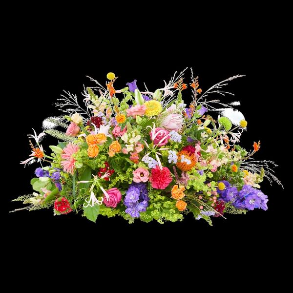 Funeral - Colour splendor