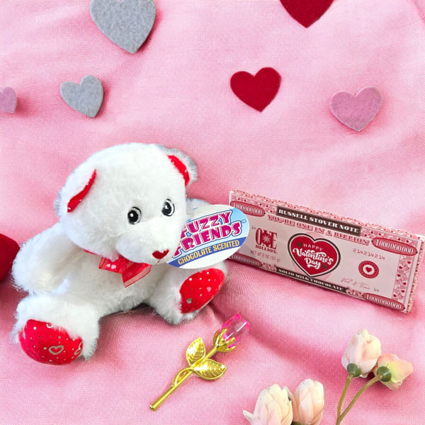 Fuzzy Love Valentine's Day Combo