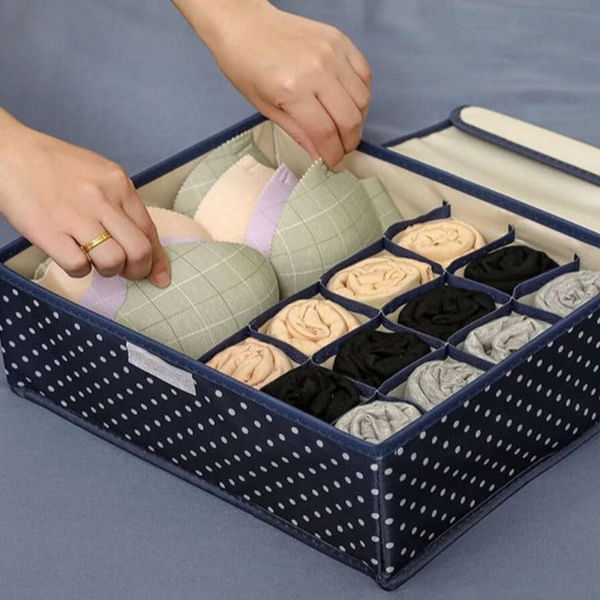 Garment Organizer - Lingerie - Large - Single Piece