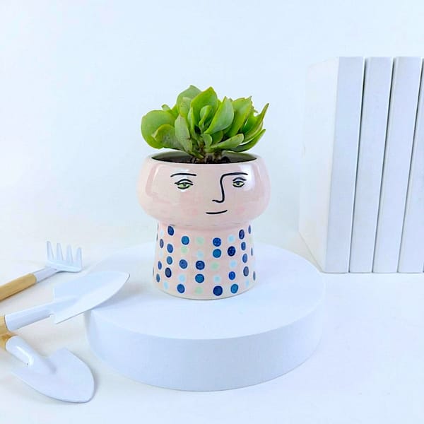 Glazed Face Planter With Ripple Jade Succulent