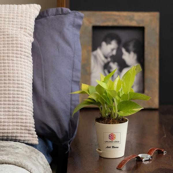 Golden Money Plant Customized with logo and Name