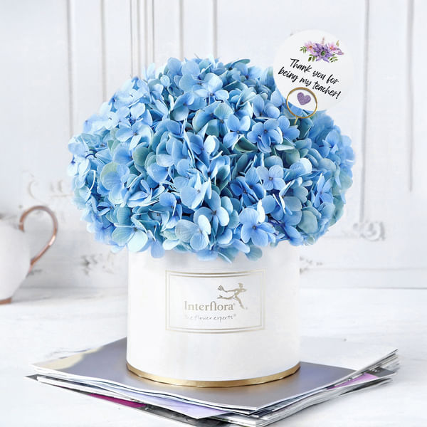 Graceful Impressions