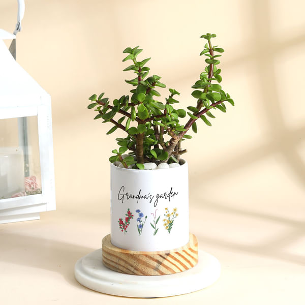 Grandma's Garden Spectacle