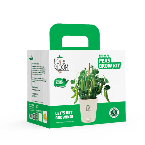 Green Goodness Peas Grow Kit