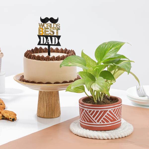 Greenery And Chocolate Cake Father's Day Gift Combo