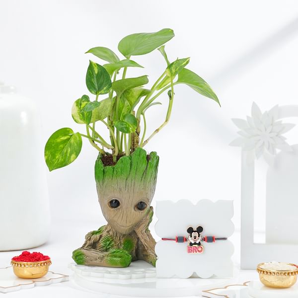 Groot Love Rakhi Gift Combo