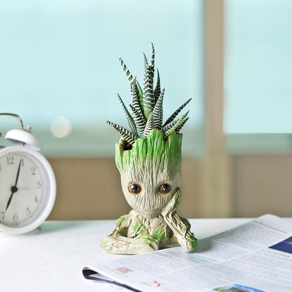 Haworthia Succulent in a Groot Planter