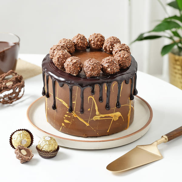 Hazelnut Fantasy Chocolate Cake