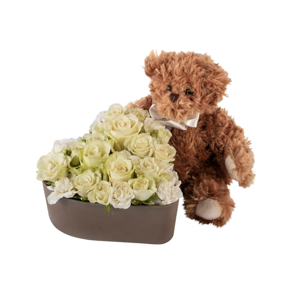 Hugs from Teddy White 242667