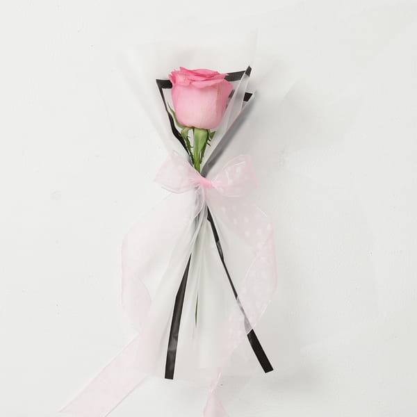 IGP Single Pink Rose Sampling