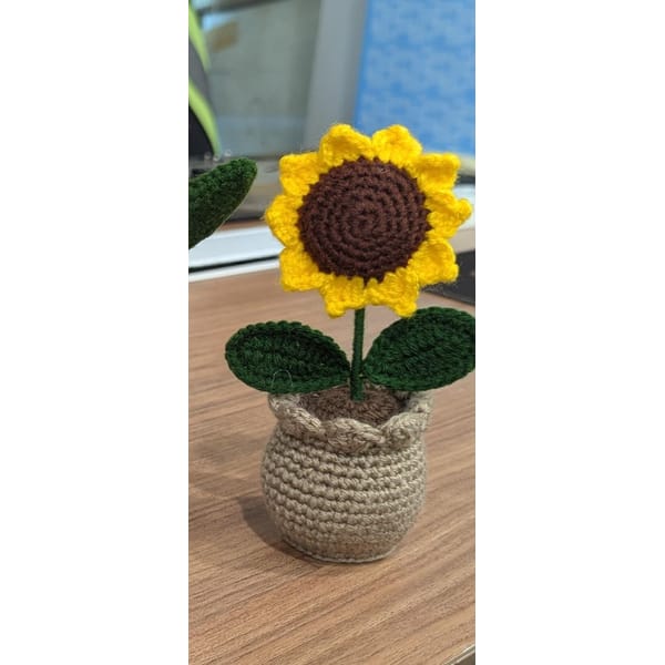 IGP Sunflower Crochet Flower Box
