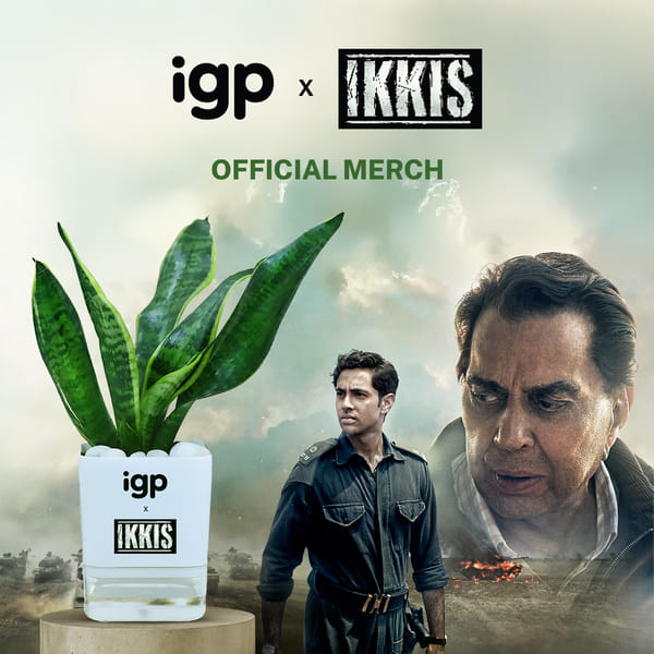 IGP x IKKIS Official Merch Snake Plant