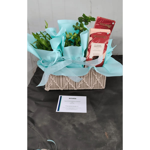 Interise Investment Hamper