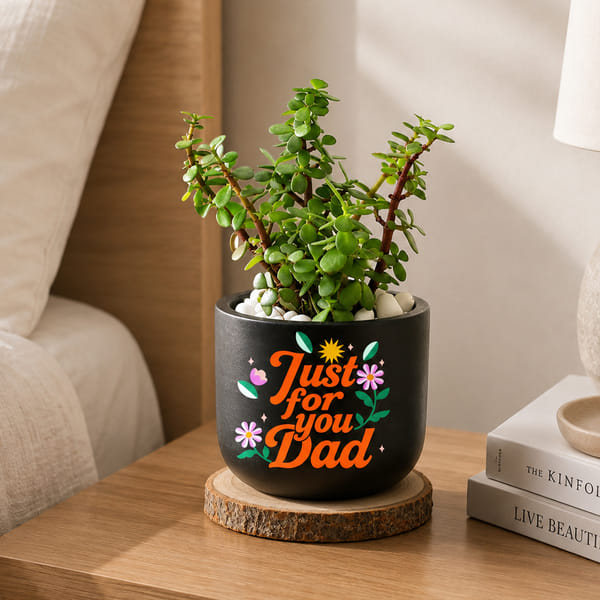 Jade Plant with Clay Planter for Dad