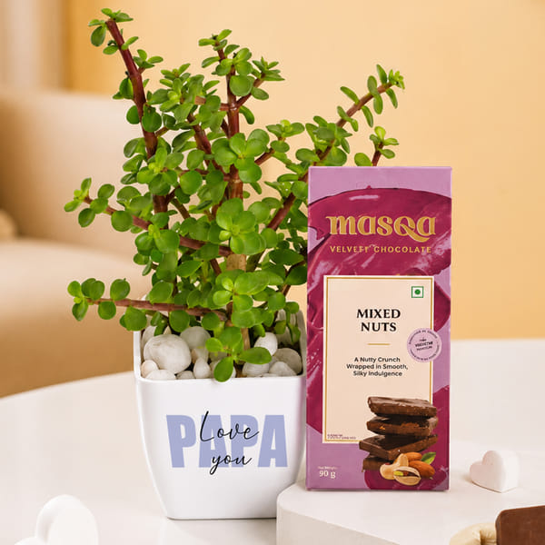 Jade Plant with Pot & Chocolate Combo for Father's Day
