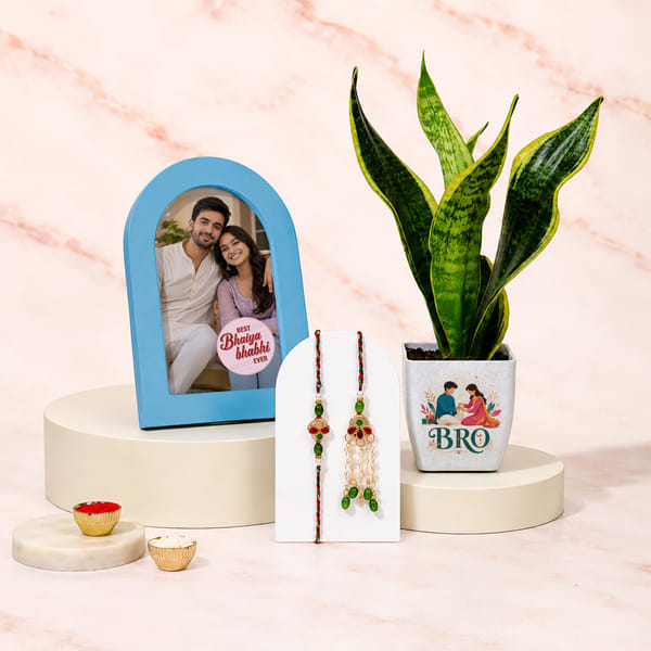 Kundan Bhaiya Bhabhi Rakhi with Snake Plant