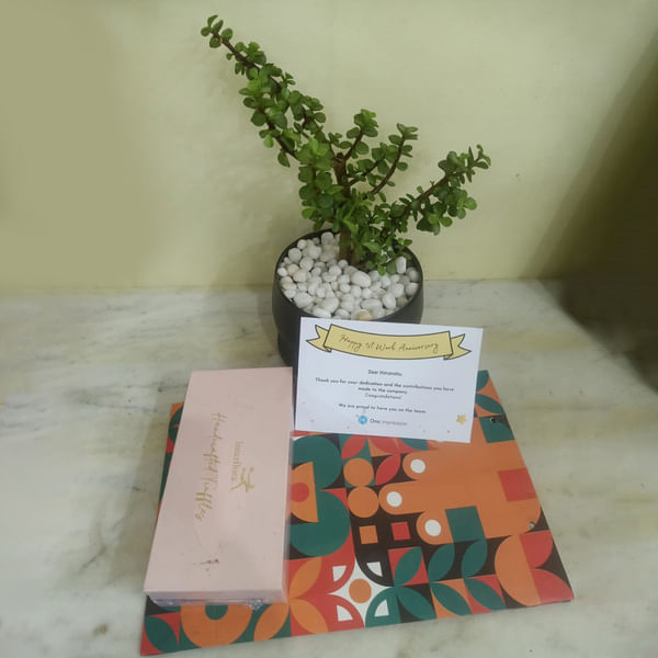 L1 Hamper ( Planter & Chocolate Pack )