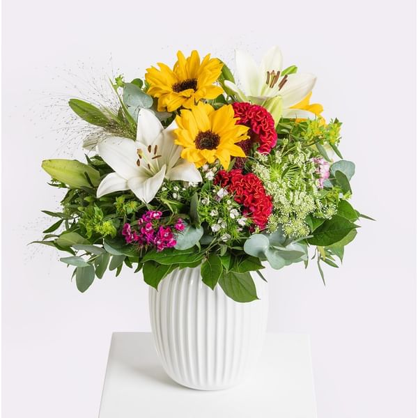 Late Summer Splendor