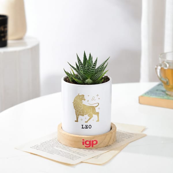 Leo Zodiac Zebra Succulent Planter